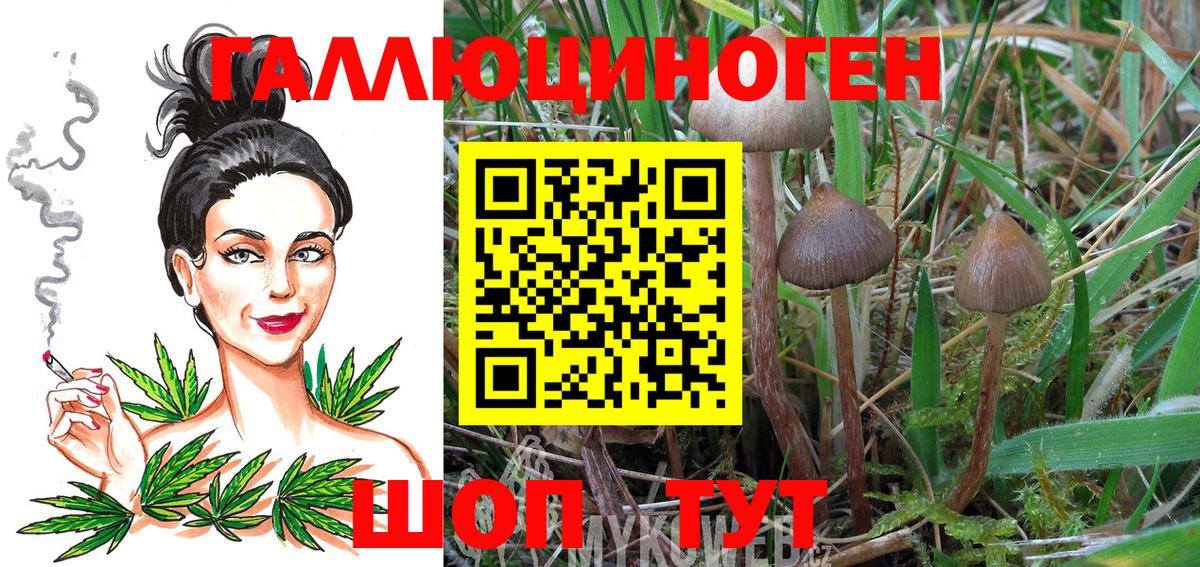 Псилоцибиновые грибы мицелий Вятские Поляны